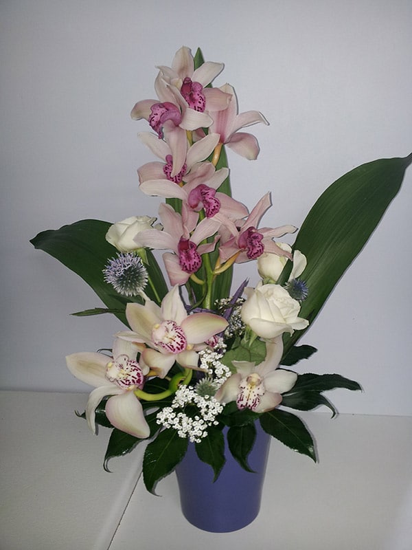 composition-florale-dorchidee-cymbibium-blanc-et-bleu
