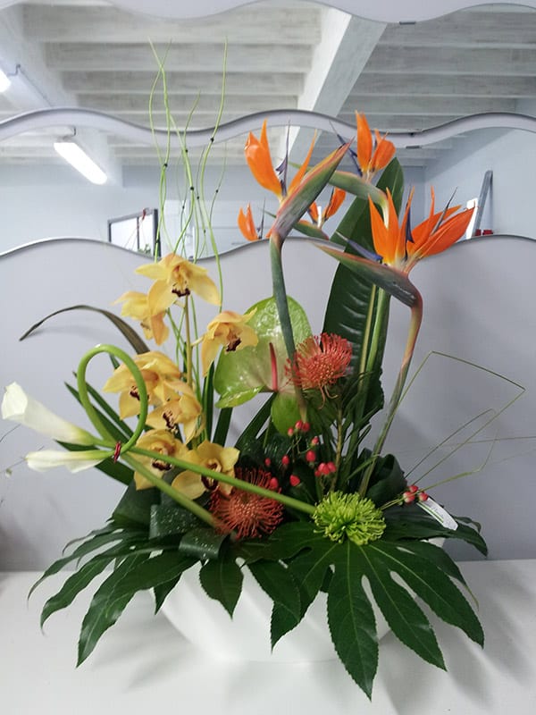 composition-florale-jaune-orange-strelizia-oiseau-du-paradis-protea-orchidee-cymbidium-aralia