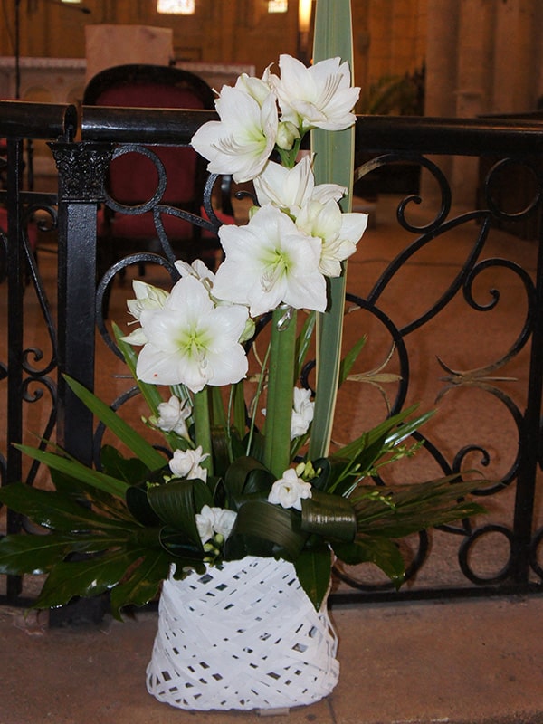 composition-florale-mariage-eglise-amarillys-blanc-freesia