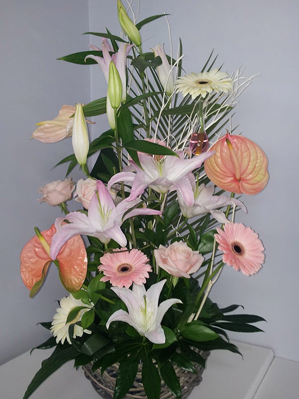 composition-florale-ton-rose-corbeille-osier-pipette-colorant-mitsumata-lys-anthurium-gerbera-robellini-aralia